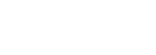 Buffalo Air Express - white logo